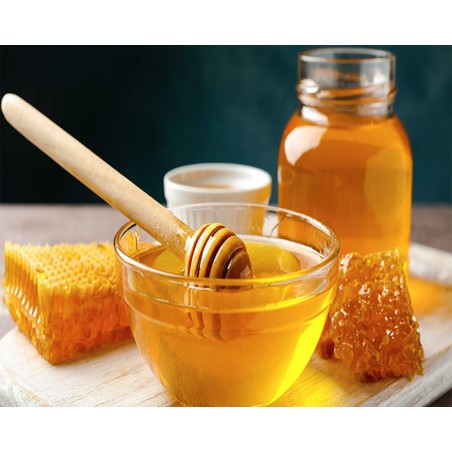 Compra miel online y descubra las propiedades de la miel